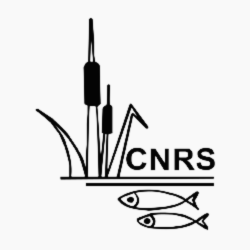 cnrs-logo-prodip