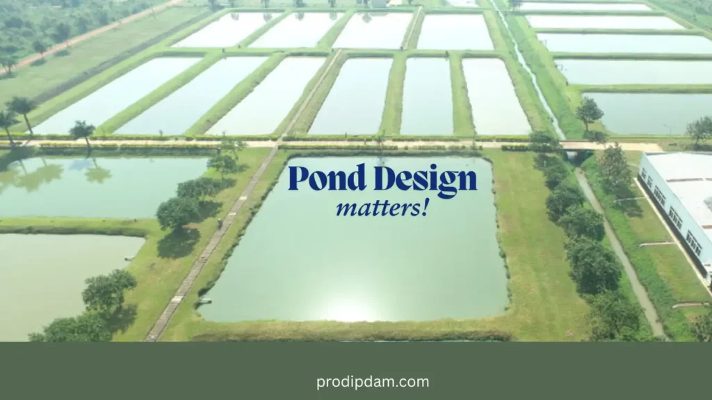 Secret to Profitable Tilapia Farming in Earthen Ponds 2 pond-preparation-in-tilapia-farming